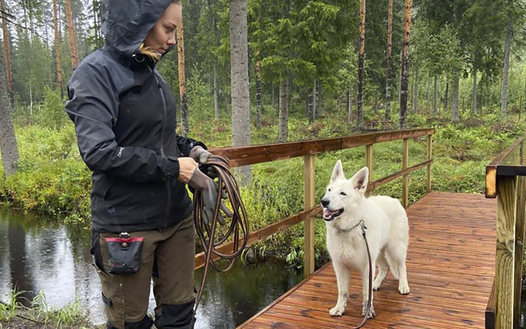 Moksiin valmistuu kahden hehtaarin koirametsä